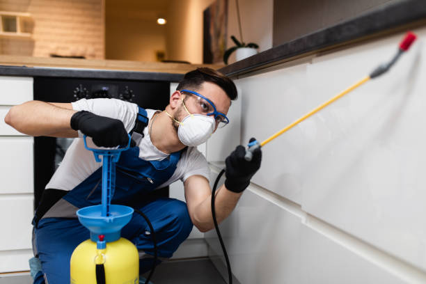 Best Flea Control Services  in Cumings, TX