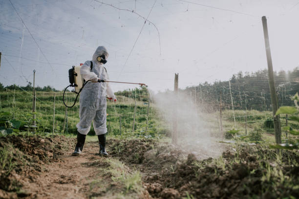 Best Pest Removal Services  in Cumings, TX