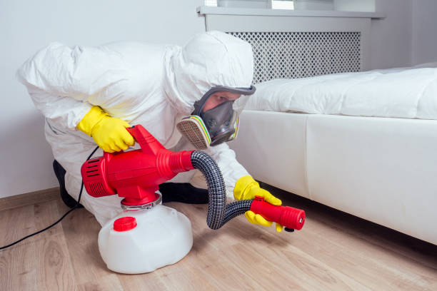 Best Pest Inspection Near Me  in Cumings, TX